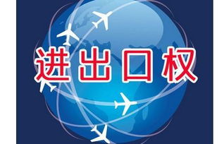 上海外貿公司如何辦理進出口權資質申請與廣告設計業務拓展